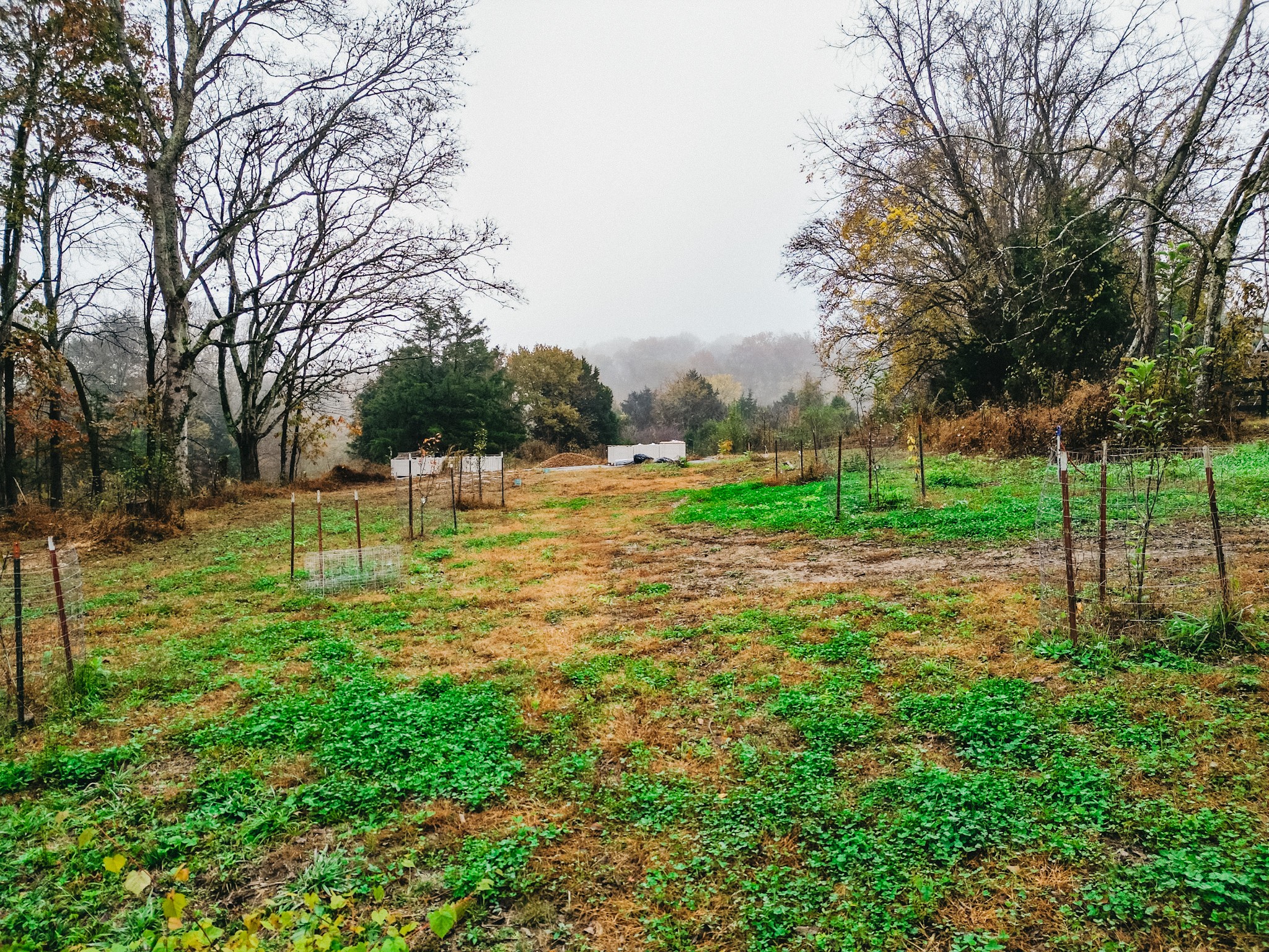 2100 Hill Station Road Columbia, TN 38401 - Photo 38 of 40
