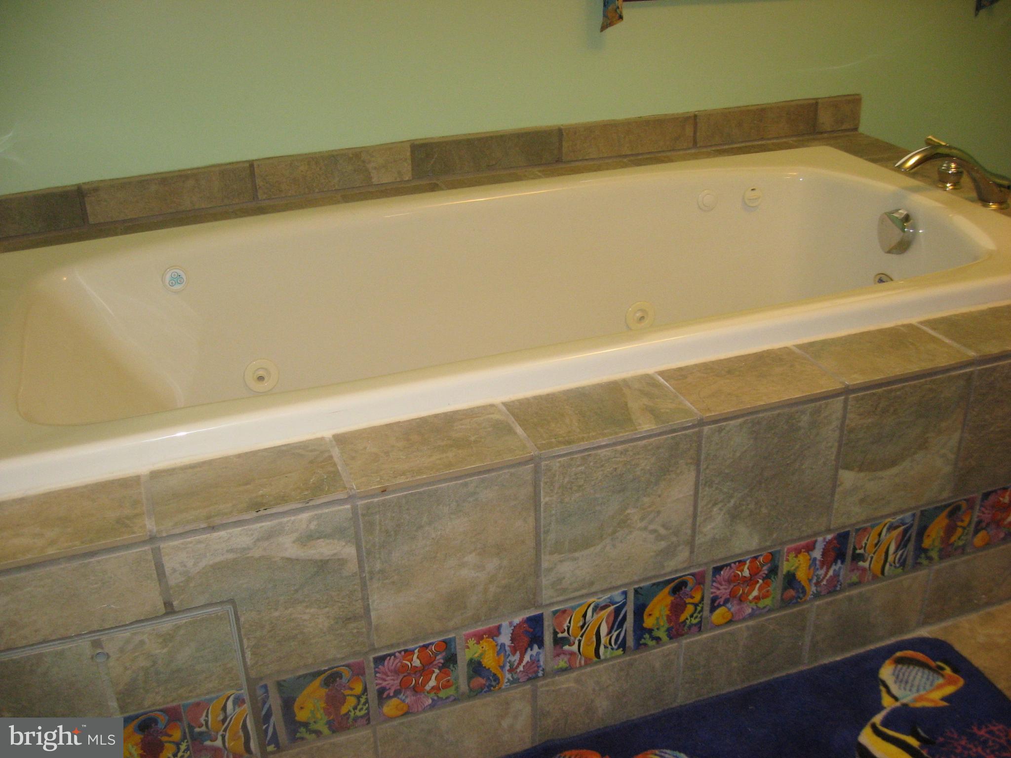 5894 York Road Spring Grove, PA 17362 - Photo 22 of 43 Welcome to your relaxing jacuzzi
