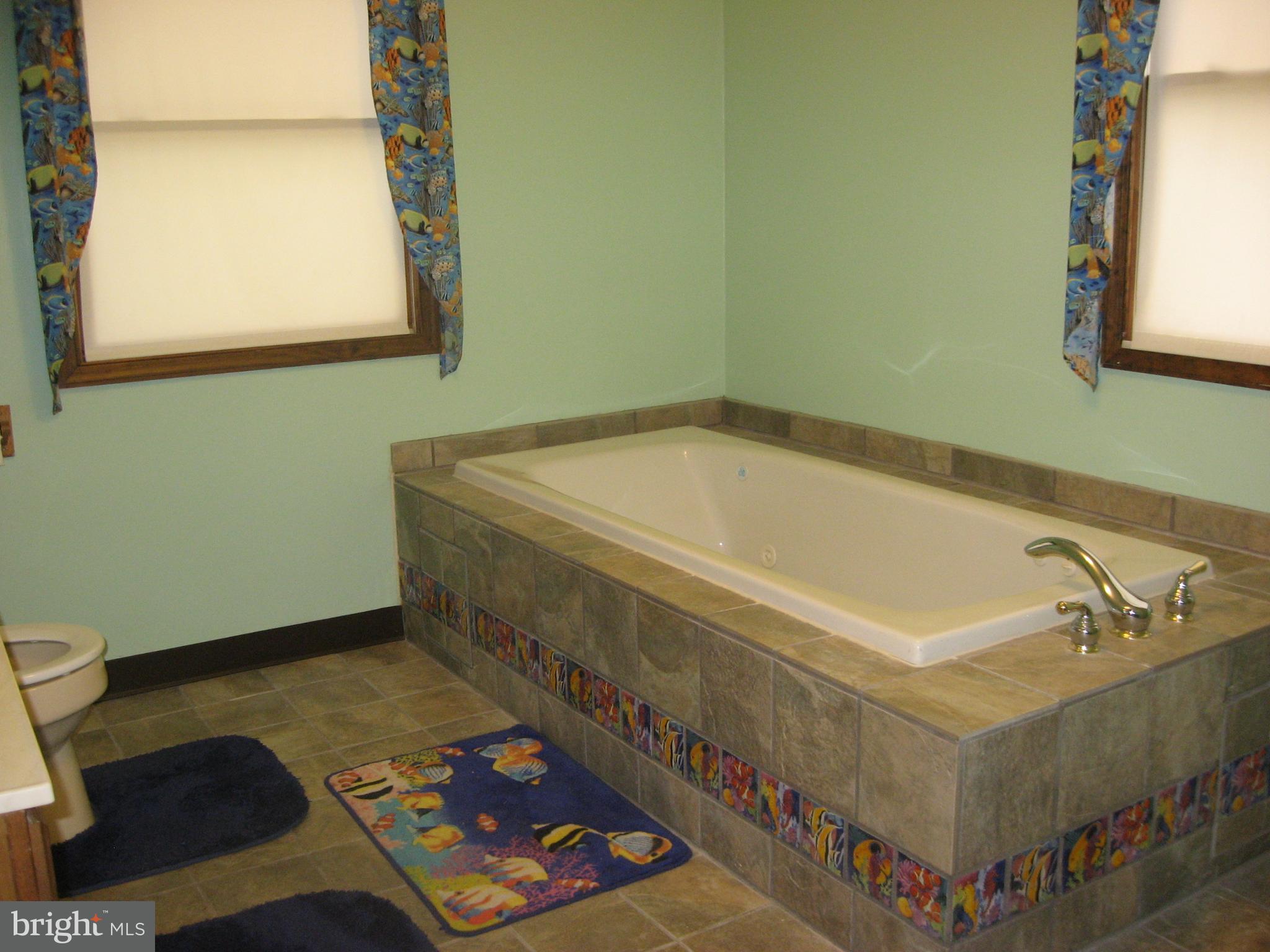 5894 York Road Spring Grove, PA 17362 - Photo 23 of 43 Spacious Master Bath with jacuzzi