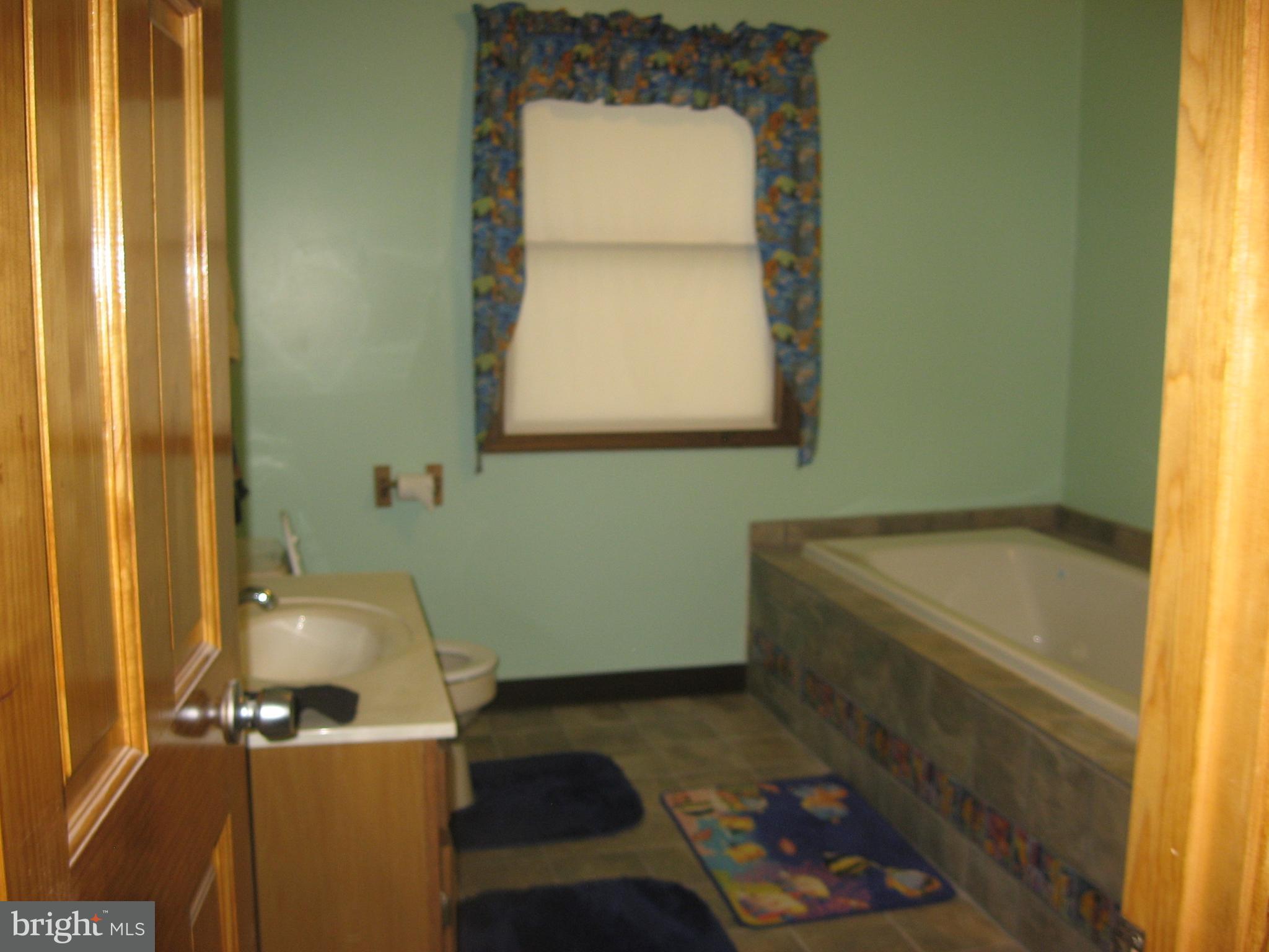 5894 York Road Spring Grove, PA 17362 - Photo 24 of 43 Spacious master bath leads into spacious master