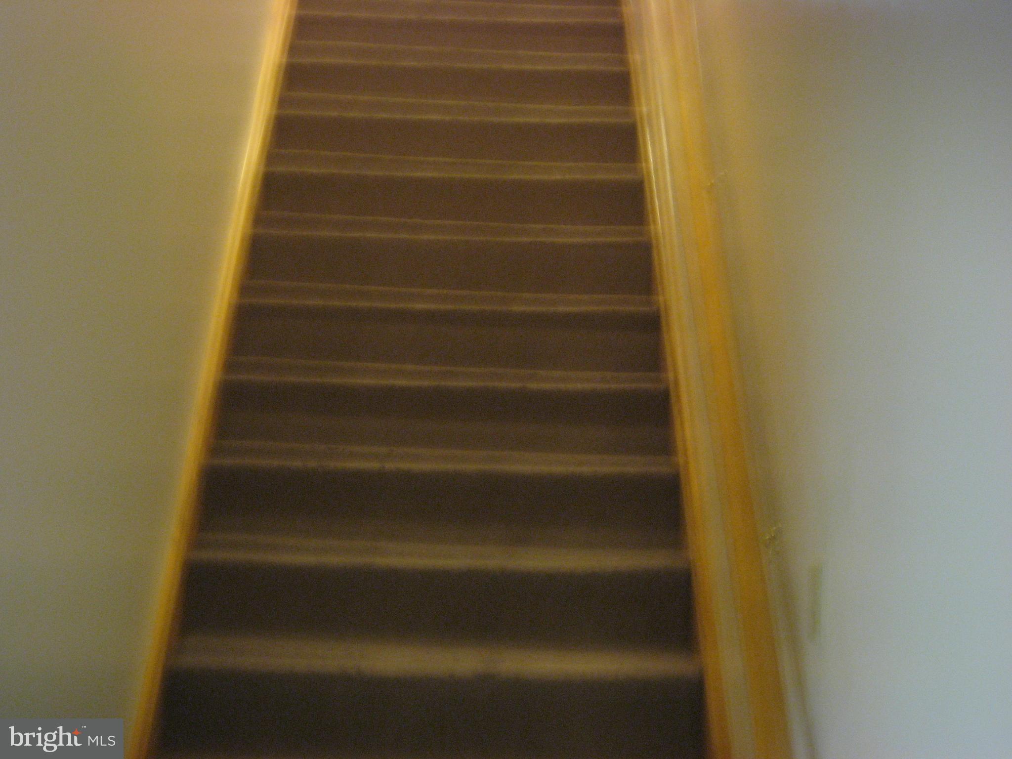 5894 York Road Spring Grove, PA 17362 - Photo 28 of 43 leading downstairs to paradise