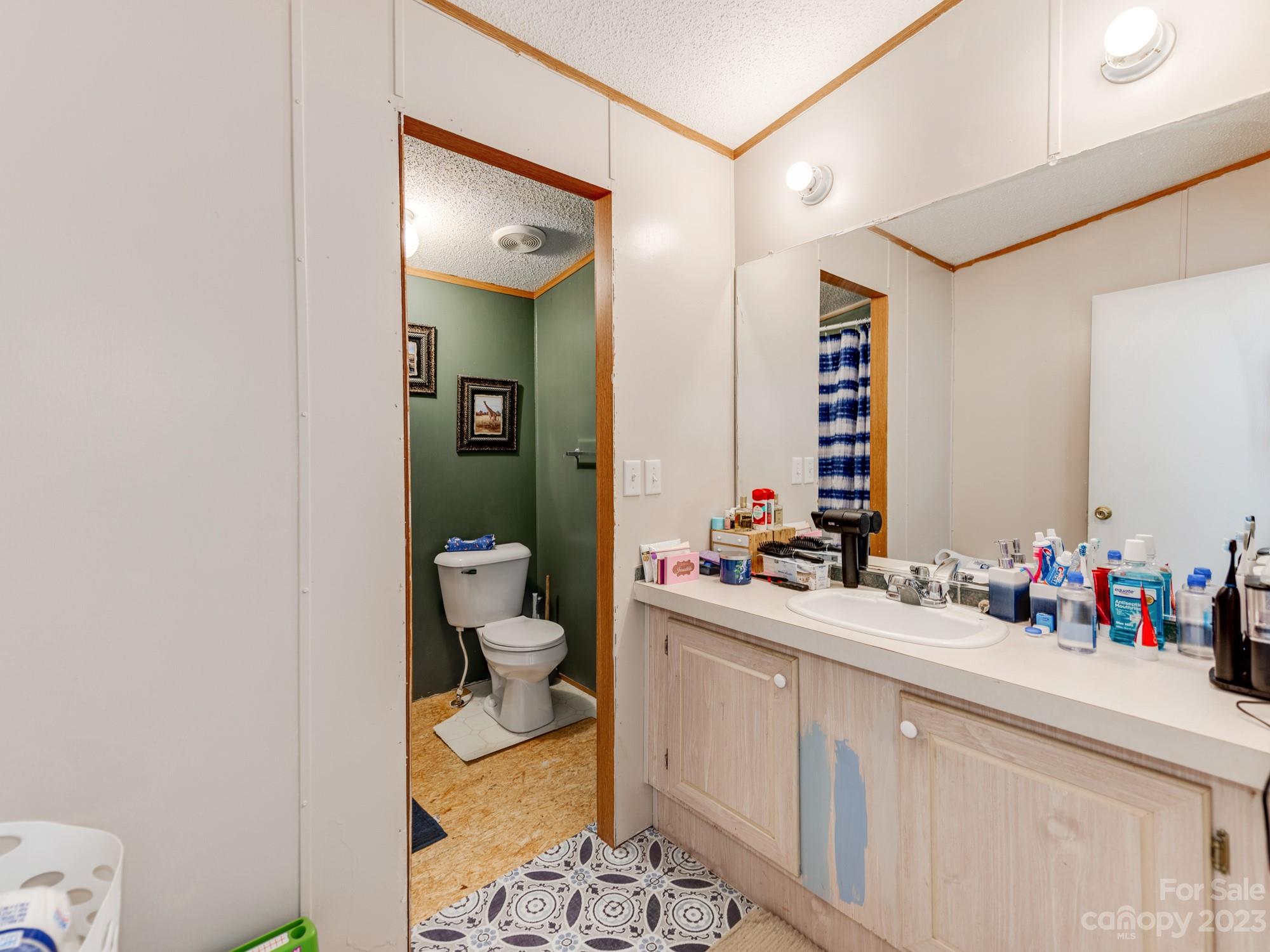 1168 Hopps Road Chester, SC 29706 - Photo 28 of 32 a bathroom with a sink vanity mirror and toilet