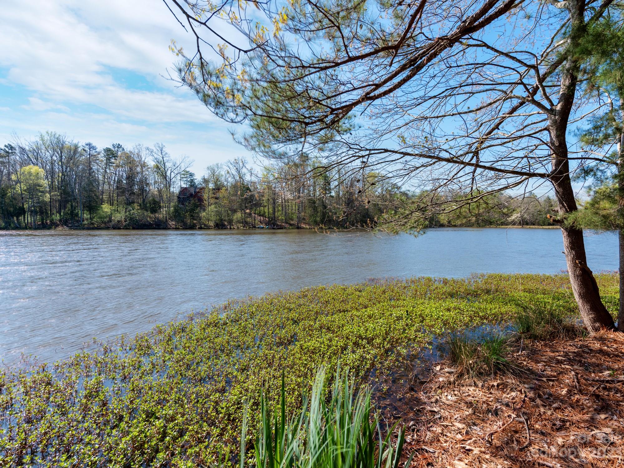 1168 Hopps Road Chester, SC 29706 - Photo 5 of 32 a view of a pathway with a yard