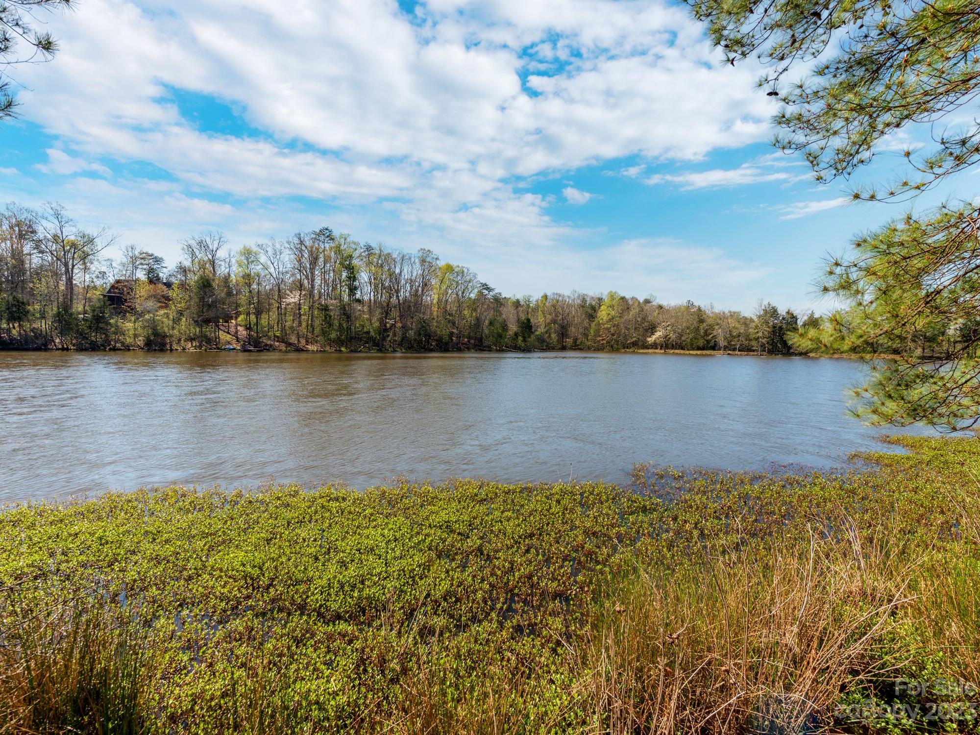1168 Hopps Road Chester, SC 29706 - Photo 6 of 32 a view of a lake from a yard