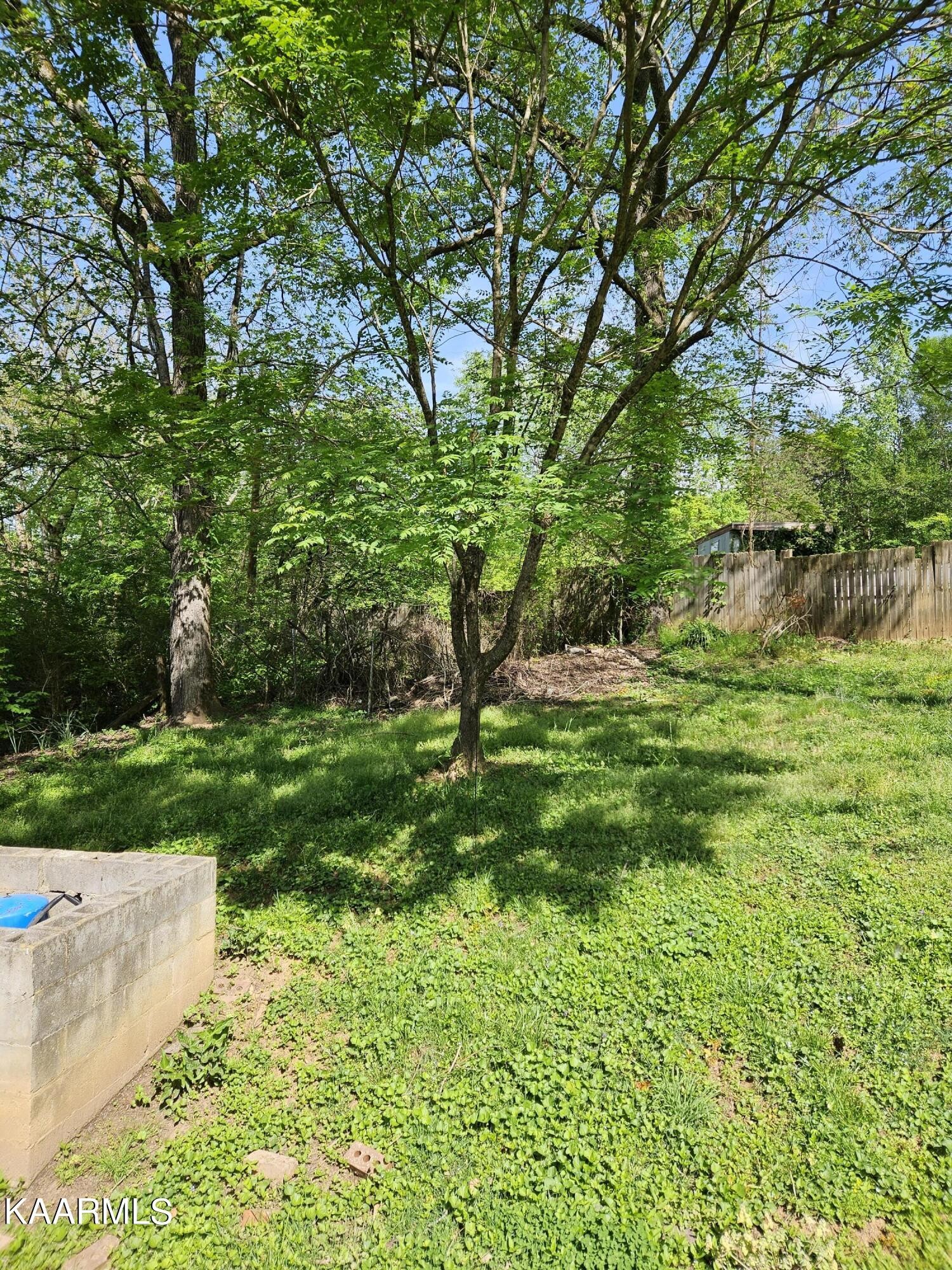 3911 Rocky Branch Road Walland, TN 37886 - Photo 8 of 28 Gallery Image 8