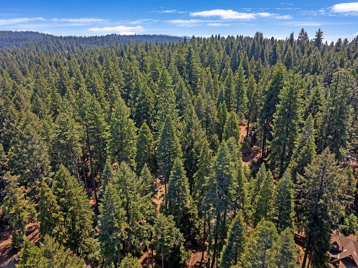 6224 Drop Off Road Pollock Pines, CA 95726 - Photo 38 of 46