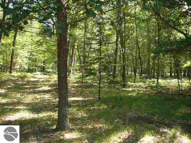 803 South Towerline Road Whittemore, MI 48770 - Photo 2 of 4 1762800-1.JPG