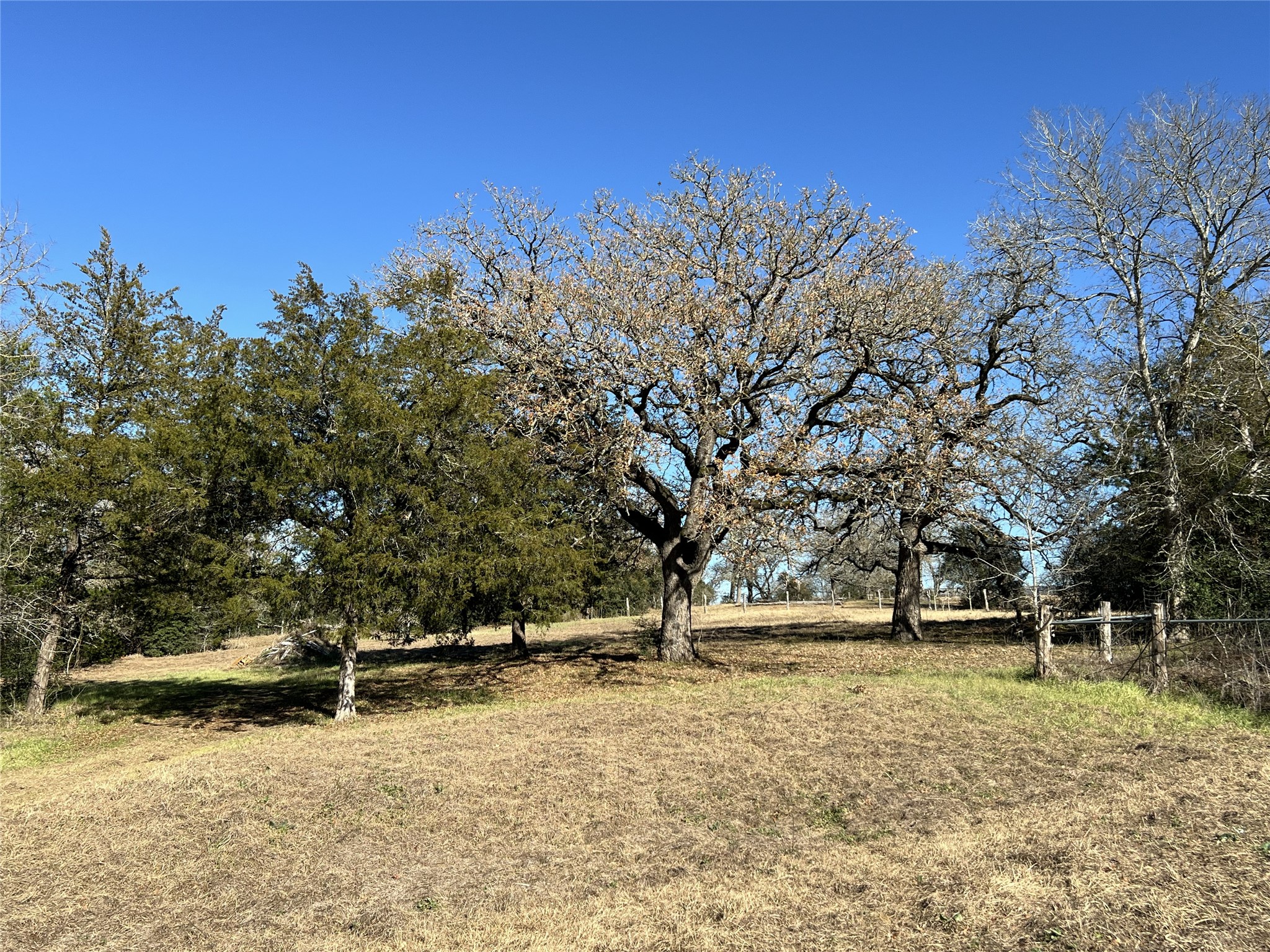 Tbd Rosanky Cattle Company Road Smithville, TX 78957 - Photo 9 of 40 a view of backyard with green space