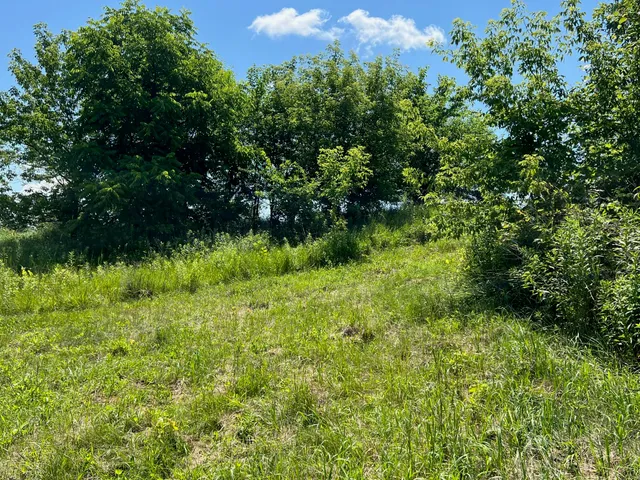 $47,900 | Lot 16 Skyview Lane, Wauzeka, WI 53826