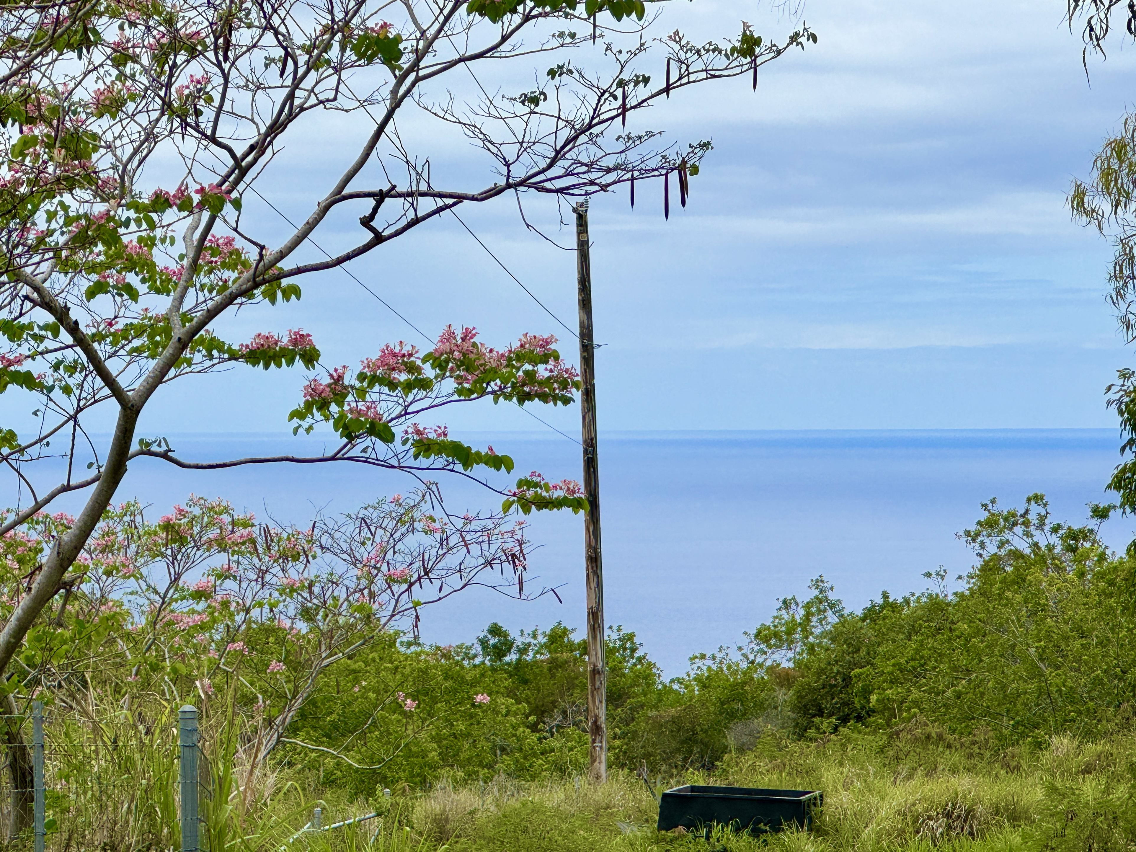 18 Lot Captain Cook, HI 96704 - Photo 2 of 3