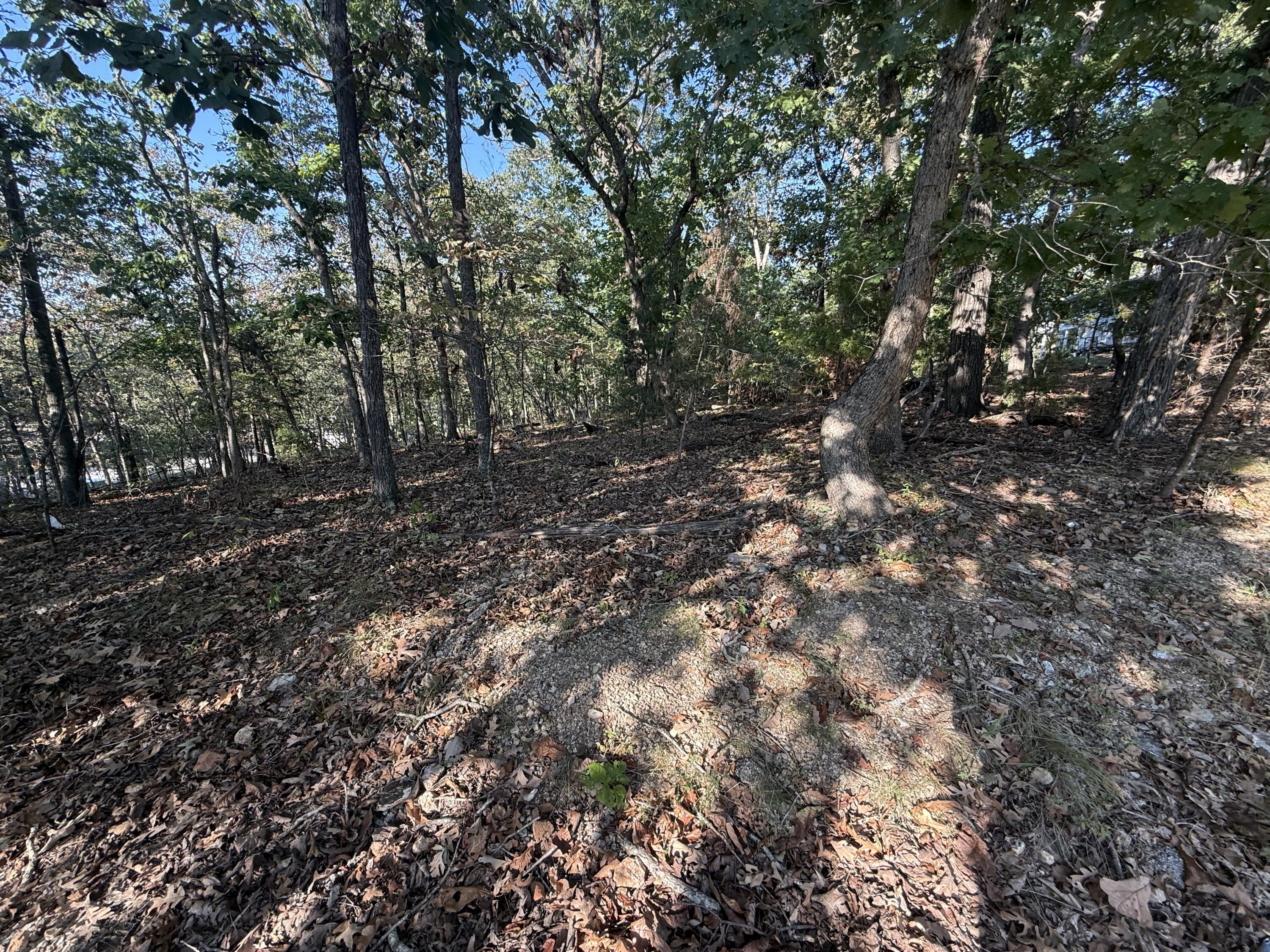 7 Columbine Road Lake Ozark, MO 65049 - Photo 6 of 19 columbine 3