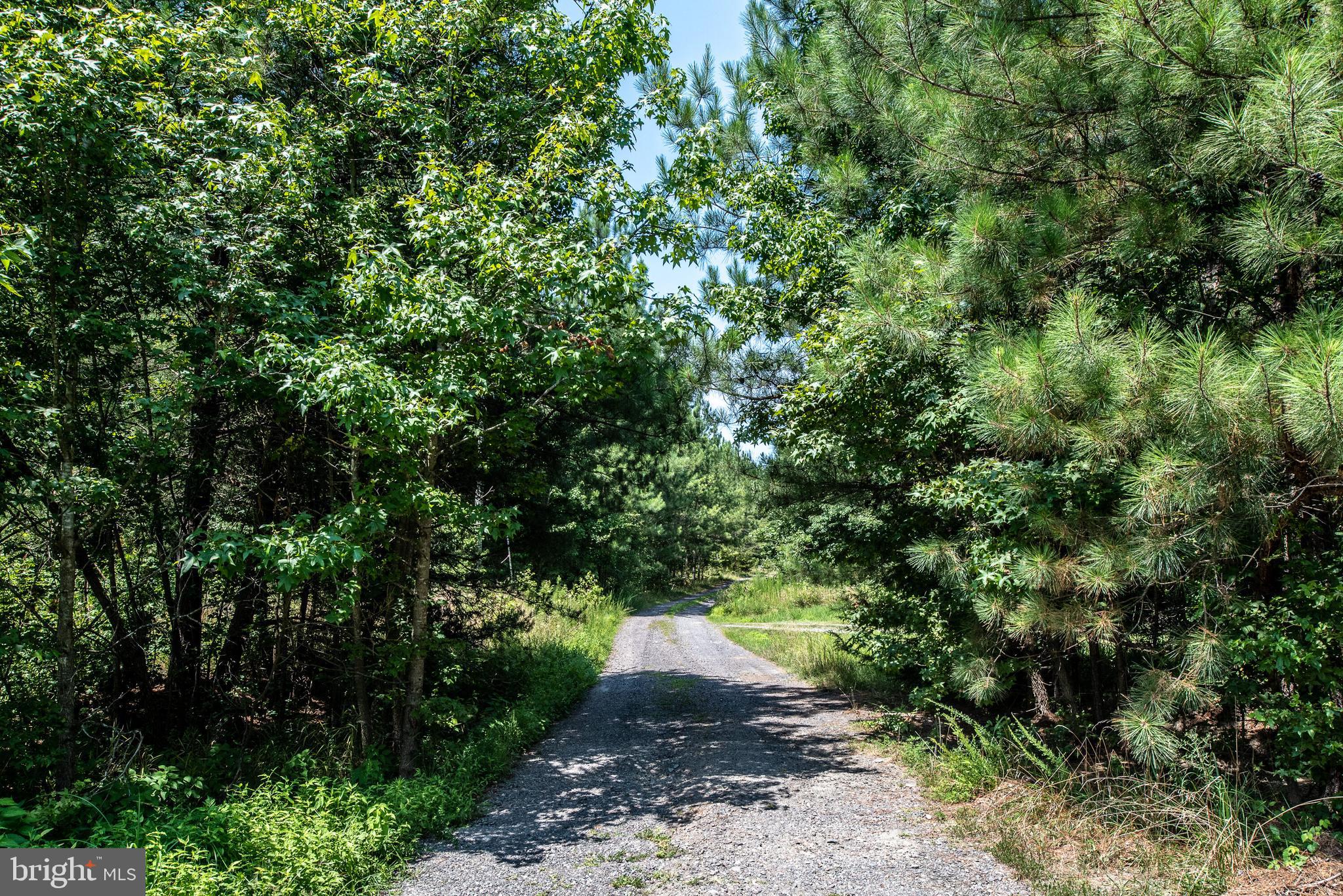 13401 Prim Road King George, VA 22485 - Photo 65 of 69 View of driveway as you leave home!