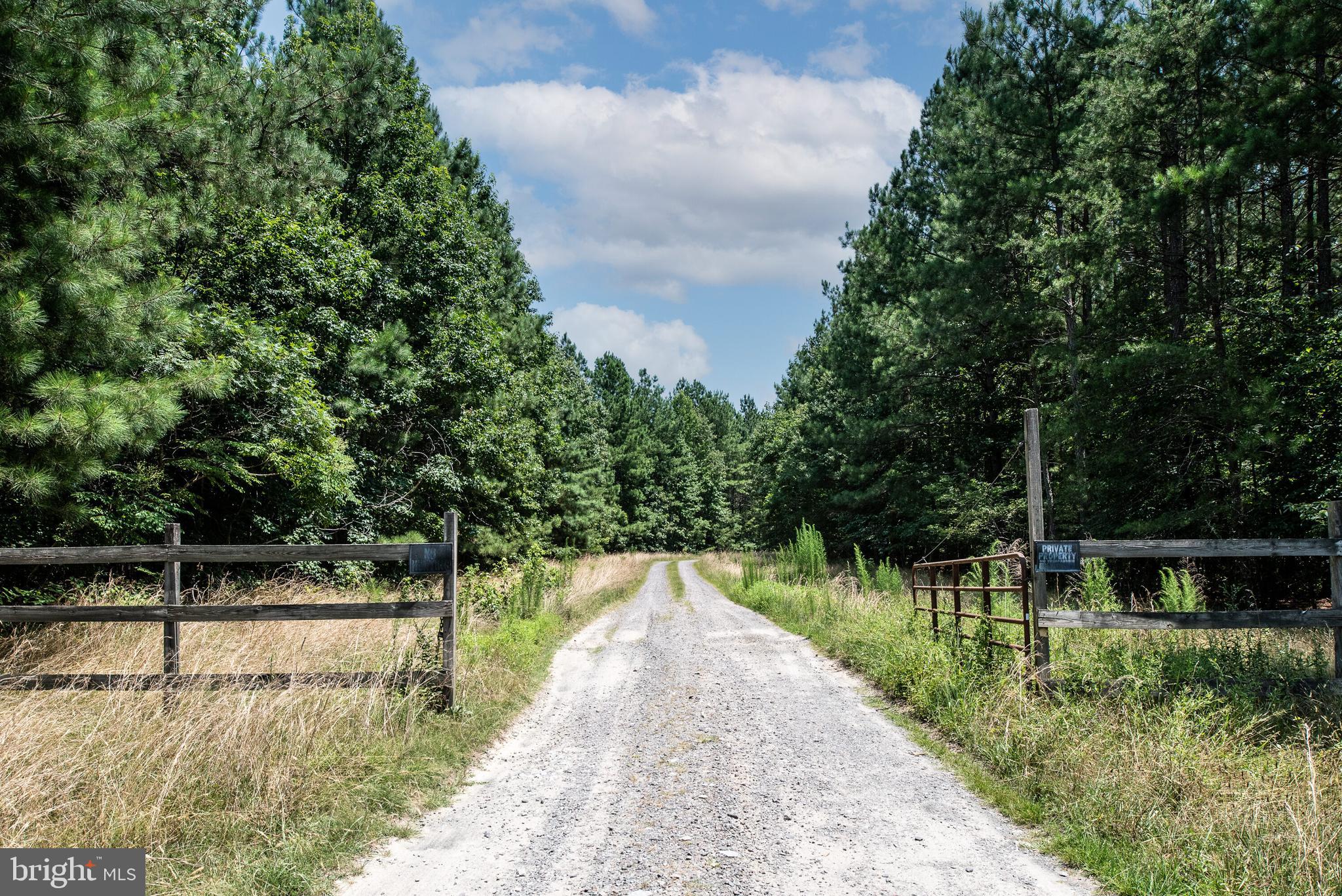 13401 Prim Road King George, VA 22485 - Photo 66 of 69 View of driveway on way to property!