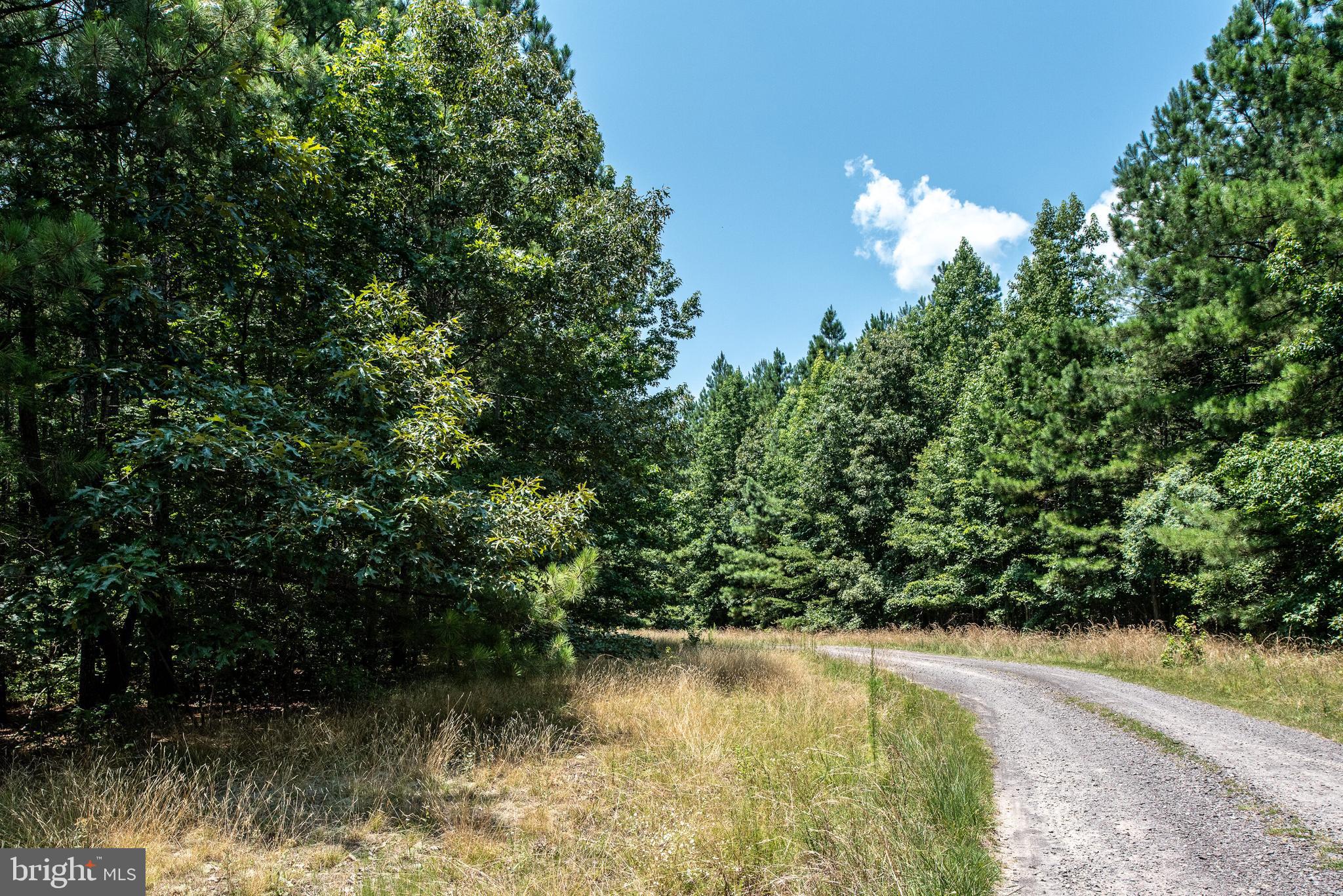13401 Prim Road King George, VA 22485 - Photo 67 of 69 View of driveway!