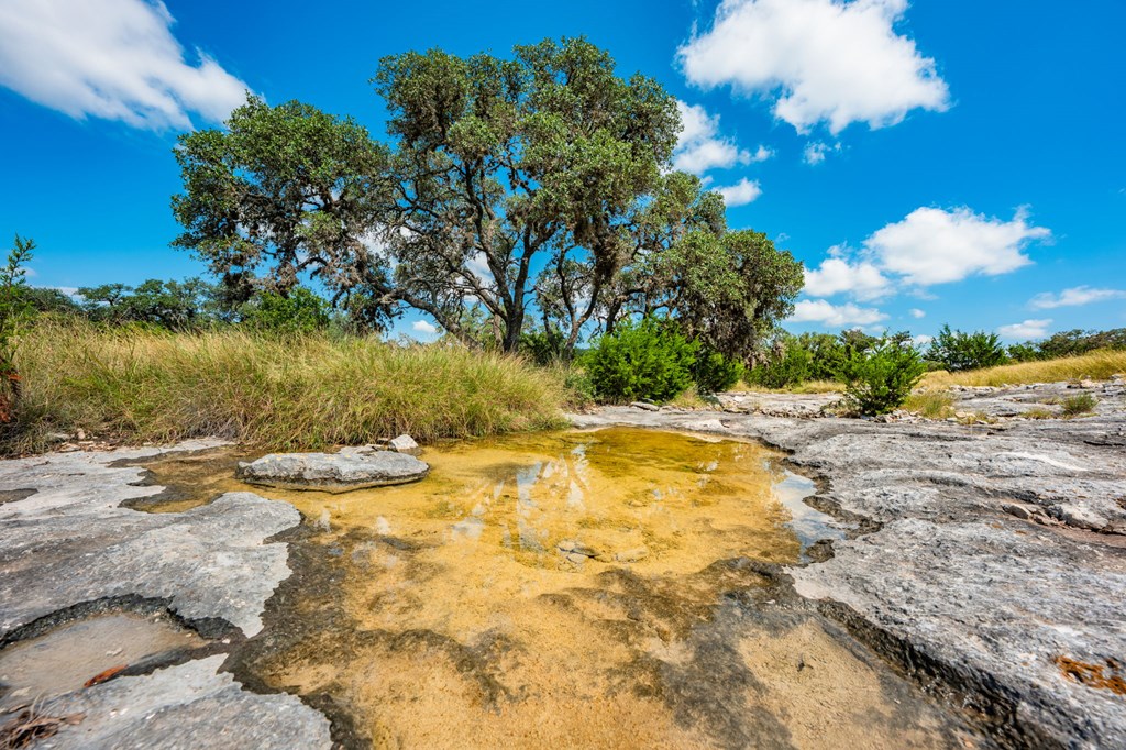12995 Hackberry Road Rocksprings, TX 78880 - Photo 17 of 49