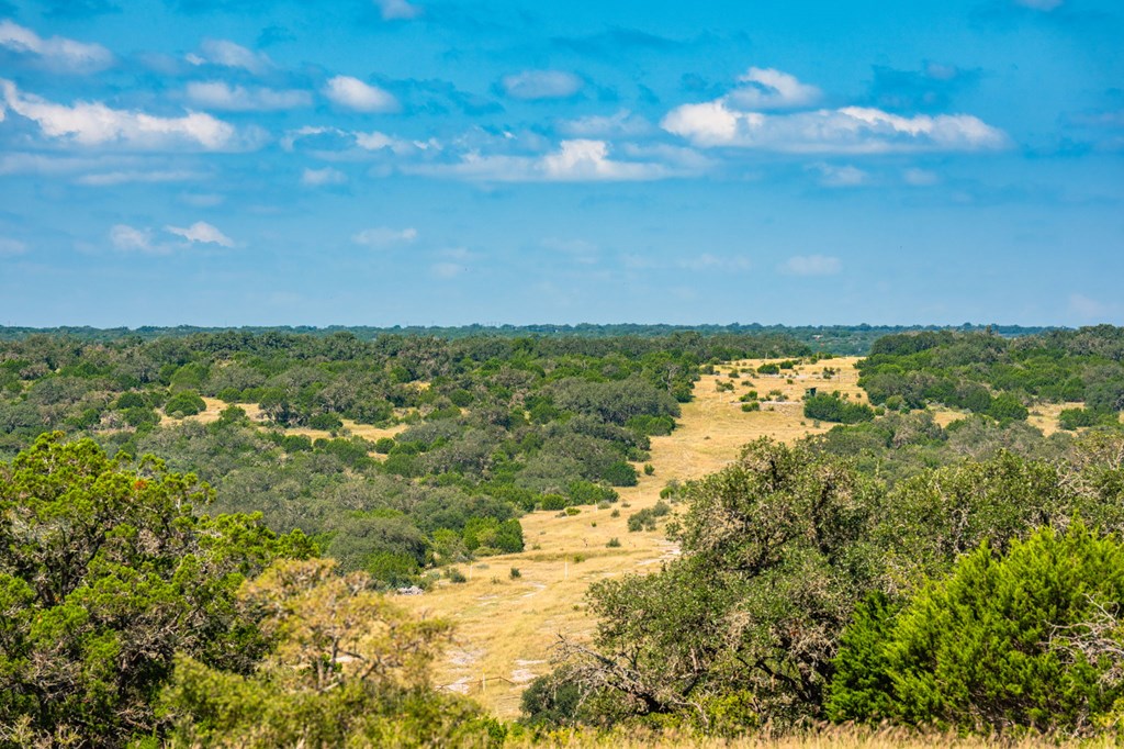 12995 Hackberry Road Rocksprings, TX 78880 - Photo 22 of 49