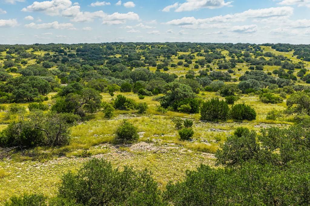 12995 Hackberry Road Rocksprings, TX 78880 - Photo 39 of 49