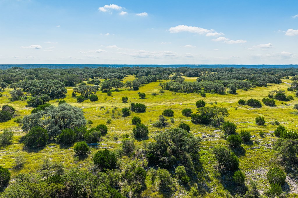12995 Hackberry Road Rocksprings, TX 78880 - Photo 41 of 49