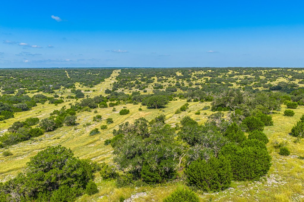 12995 Hackberry Road Rocksprings, TX 78880 - Photo 42 of 49