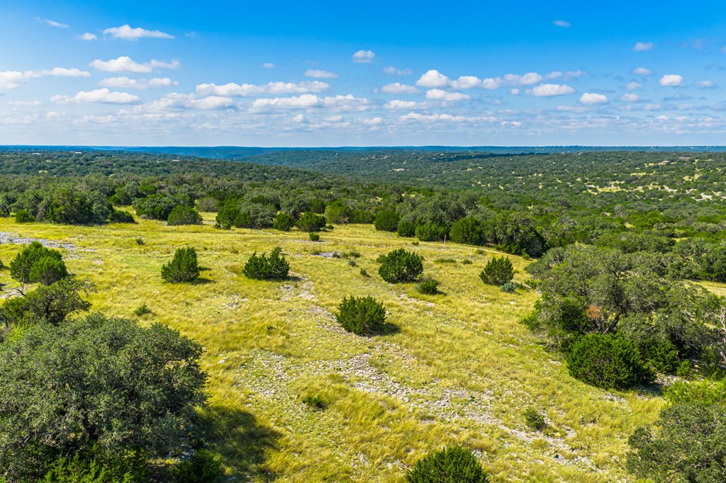 12995 Hackberry Road Rocksprings, TX 78880 - Photo 43 of 49