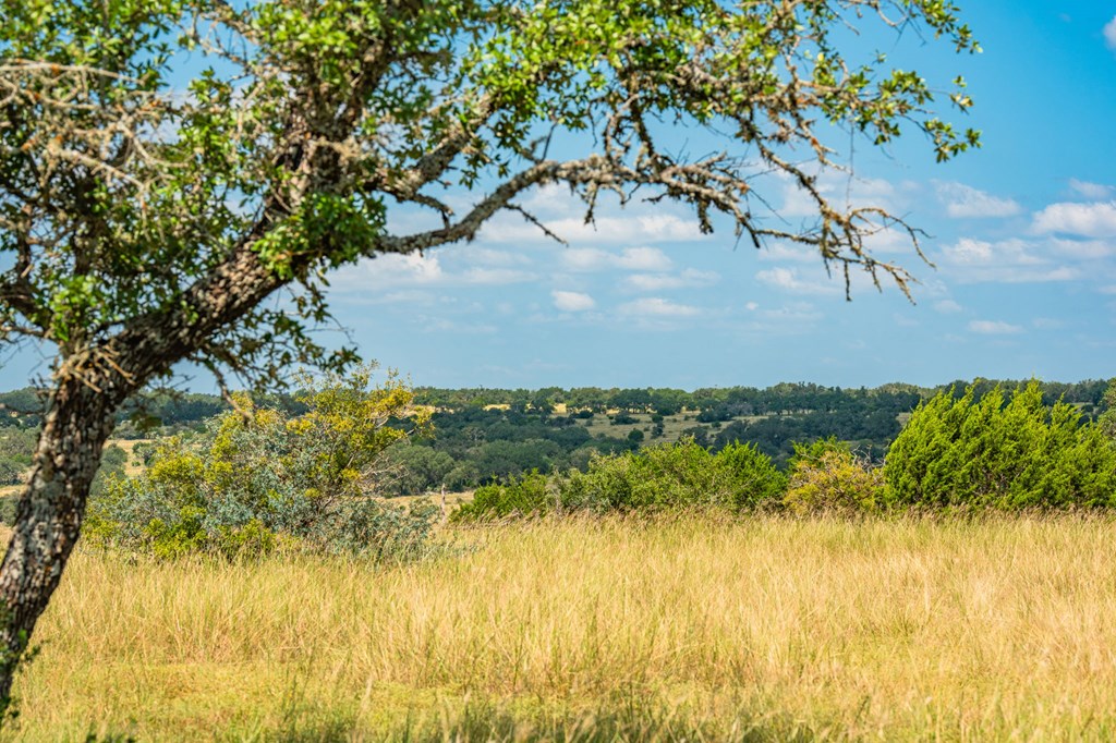 12995 Hackberry Road Rocksprings, TX 78880 - Photo 8 of 49