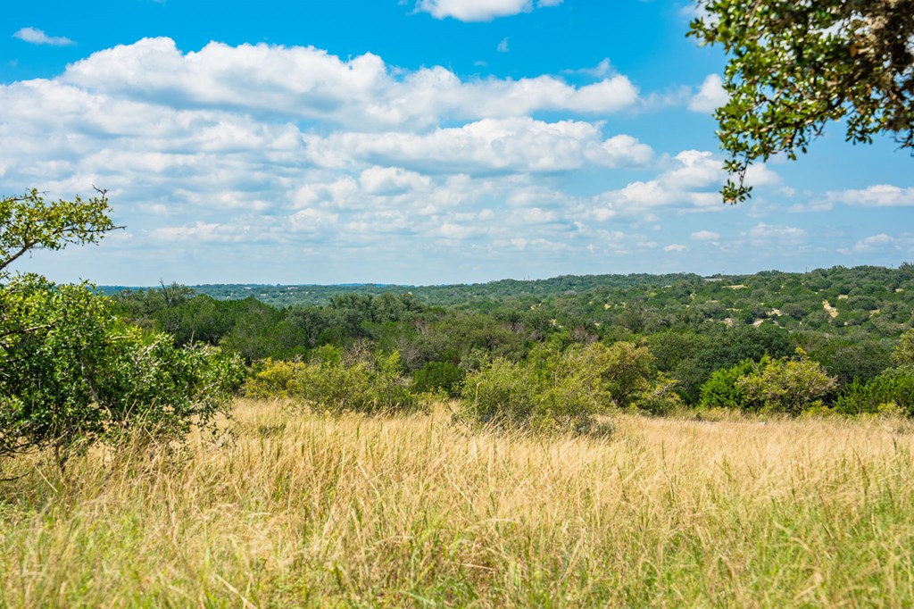 12995 Hackberry Road Rocksprings, TX 78880 - Photo 10 of 49