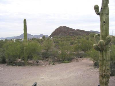 0 West Bilby Road, Unit 4639 Tucson, AZ 85757 - Photo 3 of 9 Gallery Image 3