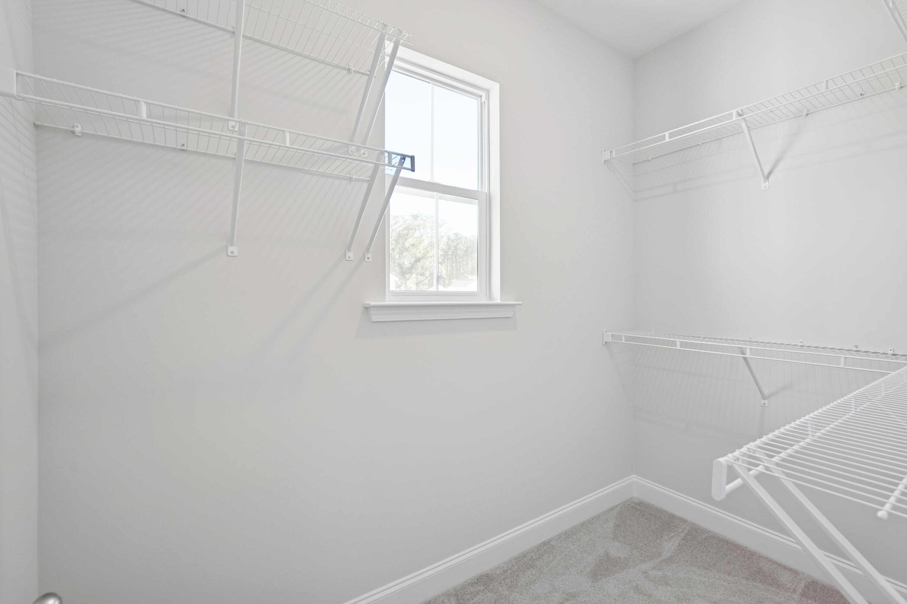 435 Queenview Lane Charleston, SC 29414 - Photo 16 of 21 Primary Closet