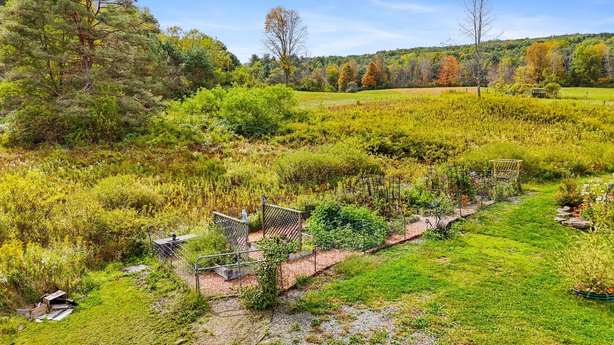 239 Rockwell Road Vestal, NY 13850 - Photo 9 of 50