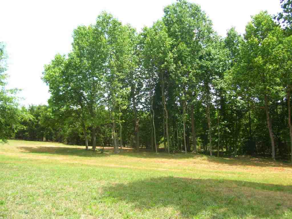 324 Hood Road Easley, SC 29640 - Photo 11 of 29 Gallery Image 11