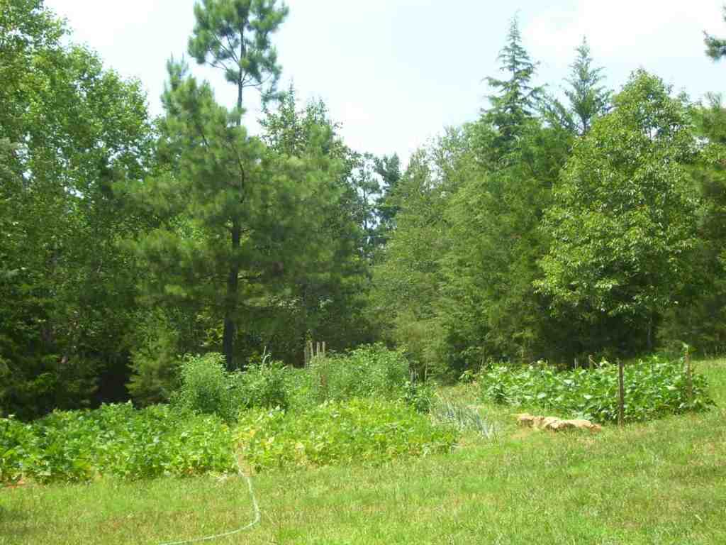 324 Hood Road Easley, SC 29640 - Photo 12 of 29 Gallery Image 12