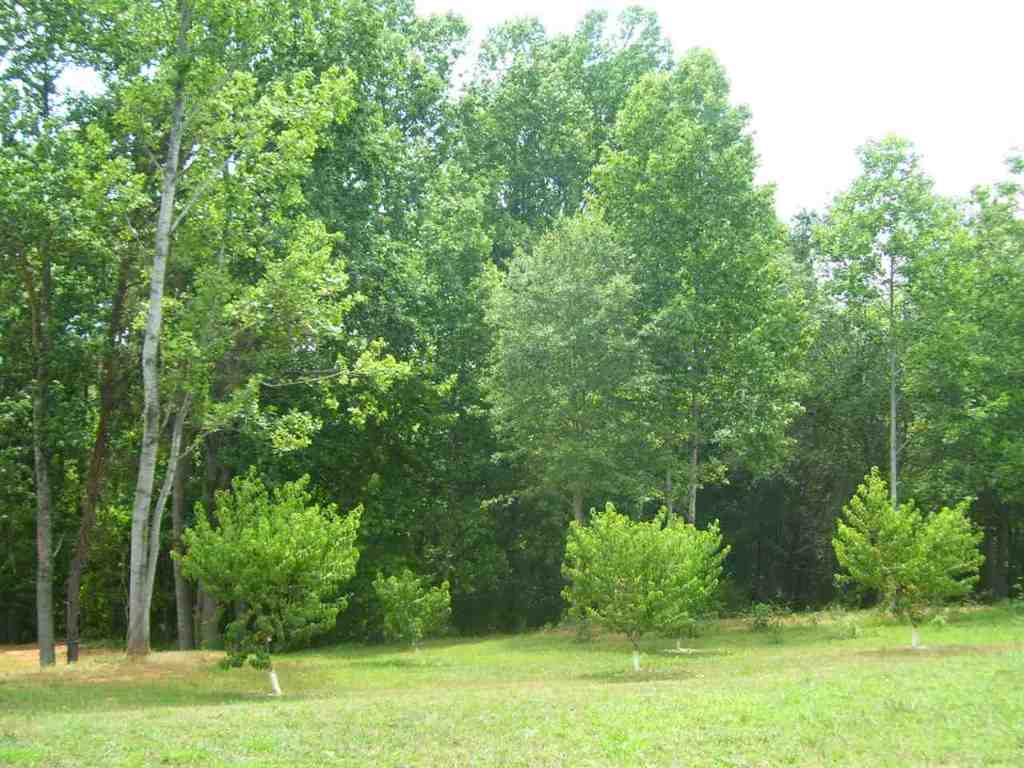 324 Hood Road Easley, SC 29640 - Photo 13 of 29 Gallery Image 13
