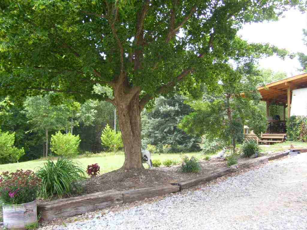 324 Hood Road Easley, SC 29640 - Photo 14 of 29 Gallery Image 14
