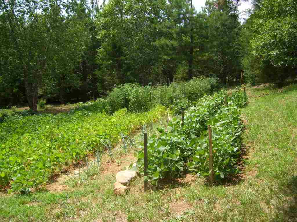 324 Hood Road Easley, SC 29640 - Photo 22 of 29 Gallery Image 22