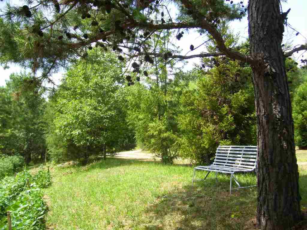 324 Hood Road Easley, SC 29640 - Photo 23 of 29 Gallery Image 23