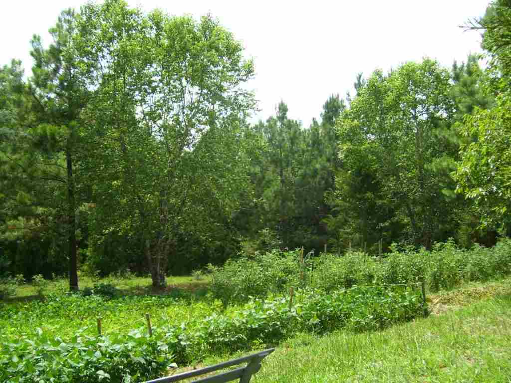 324 Hood Road Easley, SC 29640 - Photo 25 of 29 Gallery Image 25