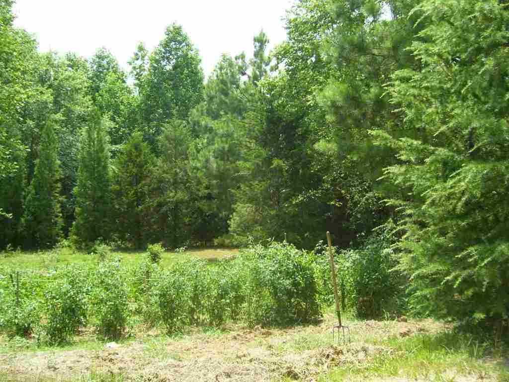 324 Hood Road Easley, SC 29640 - Photo 27 of 29 Gallery Image 27