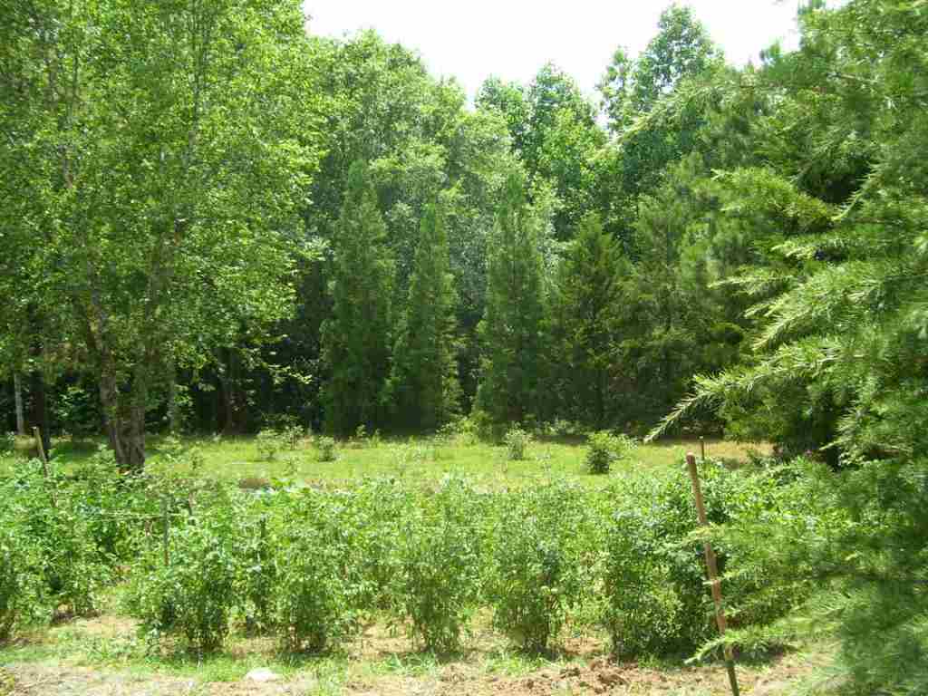 324 Hood Road Easley, SC 29640 - Photo 28 of 29 Gallery Image 28