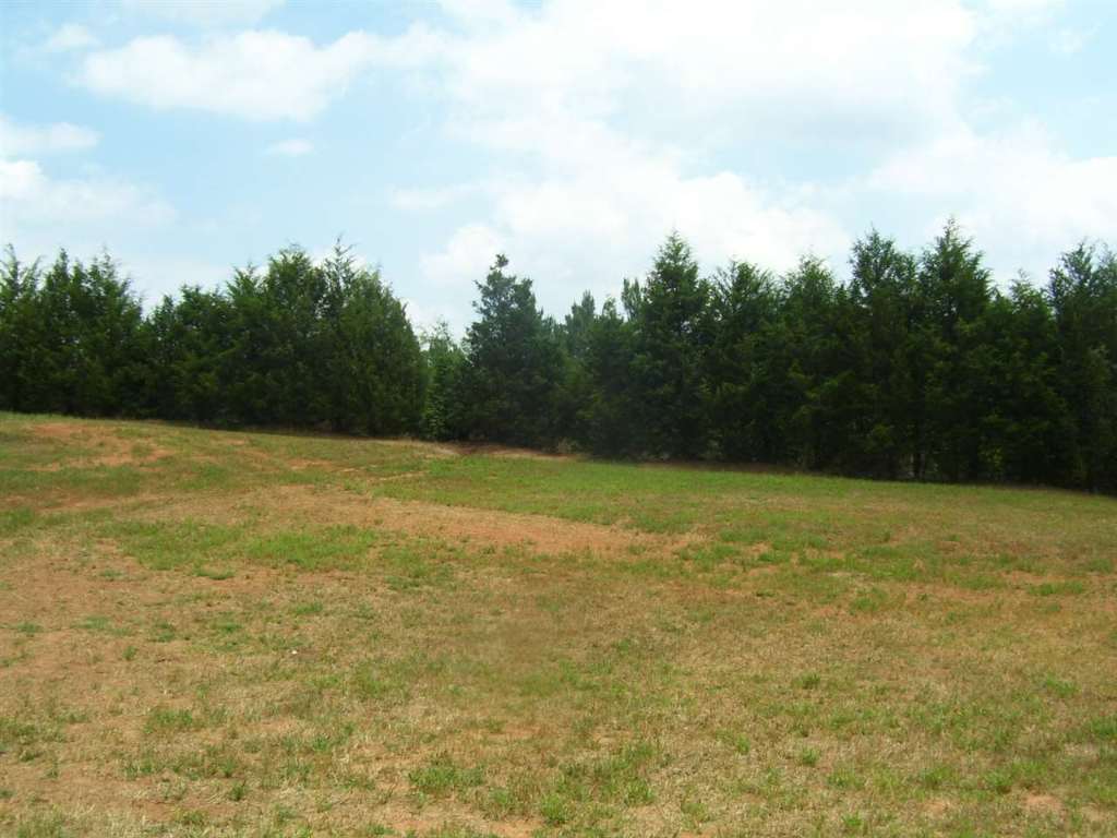 324 Hood Road Easley, SC 29640 - Photo 8 of 29 Gallery Image 8