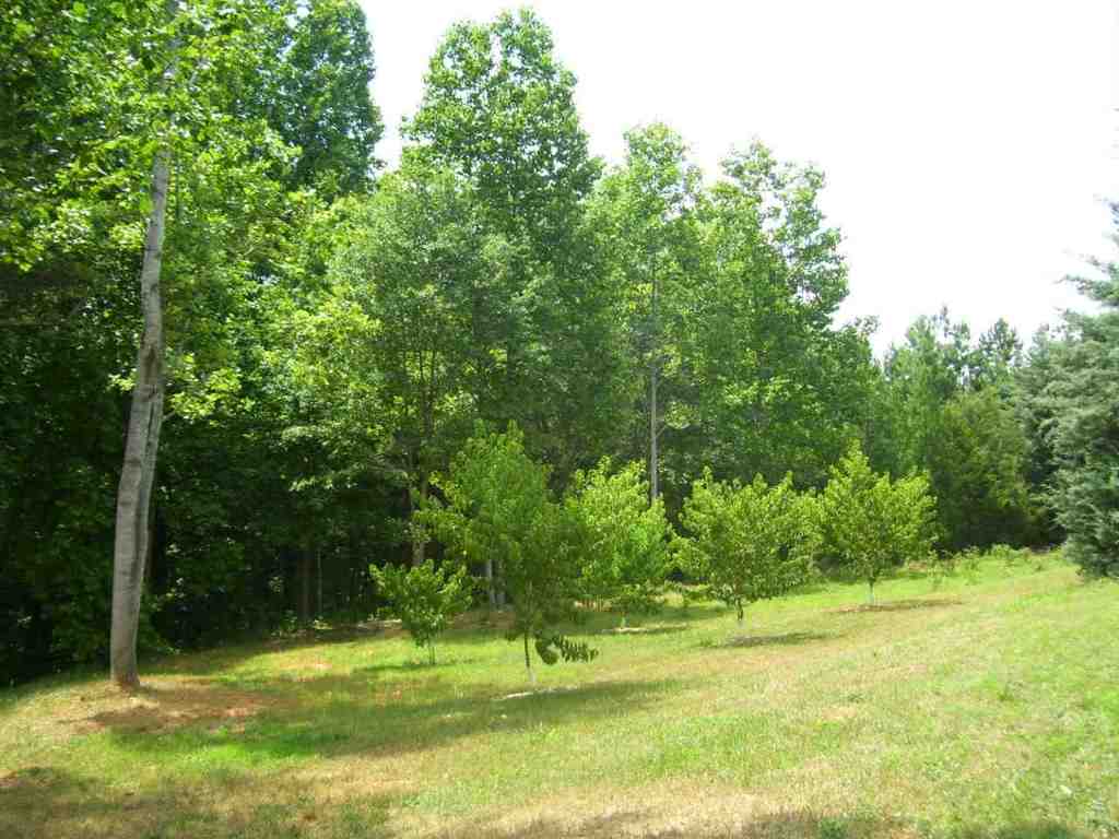 324 Hood Road Easley, SC 29640 - Photo 9 of 29 Gallery Image 9