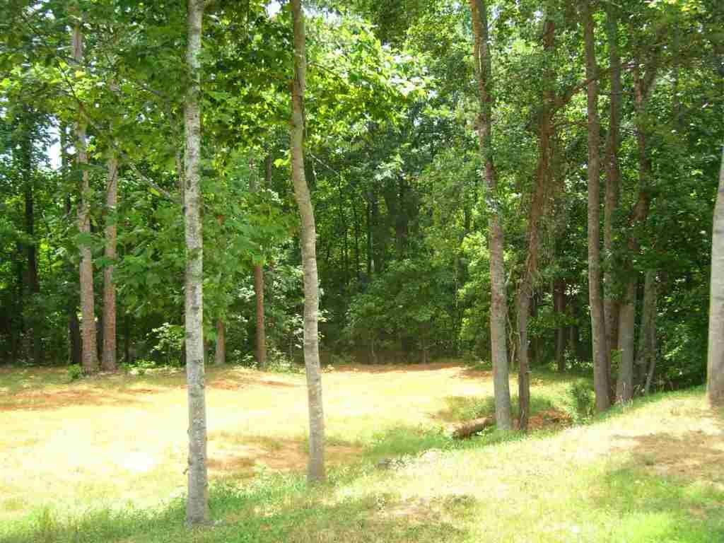 324 Hood Road Easley, SC 29640 - Photo 10 of 29 Gallery Image 10