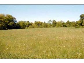 1048 County Road Walpole, NH 03608 - Photo 2 of 3