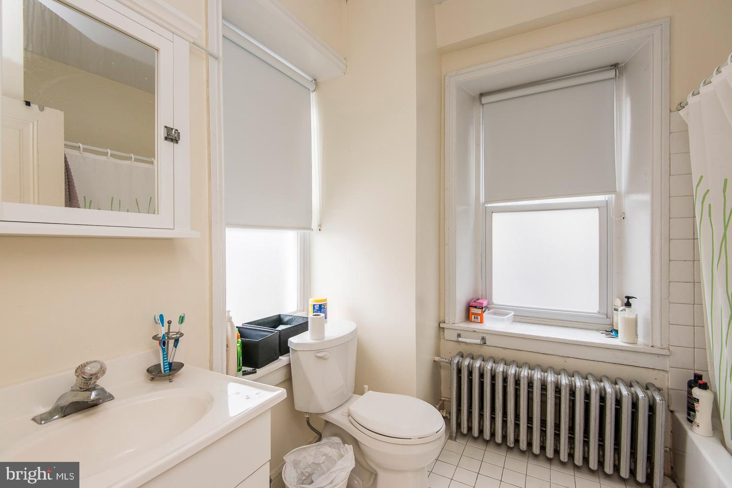 133 Dupont Street Philadelphia, PA 19127 - Photo 19 of 24 a bathroom with a sink toilet and shower