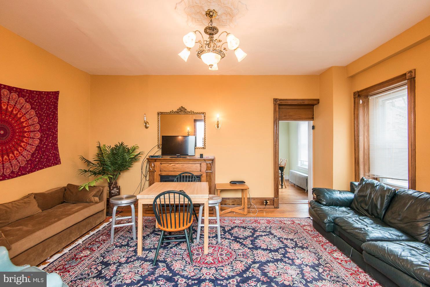 133 Dupont Street Philadelphia, PA 19127 - Photo 9 of 24 a living room with furniture and a potted plant