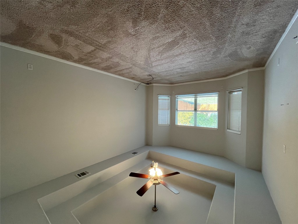 121 Red Granite Road Georgetown, TX 78633 - Photo 11 of 23 Bedroom with a tray ceiling, carpet floors, and ceiling fan