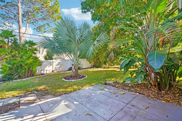 a view of a garden with a tree