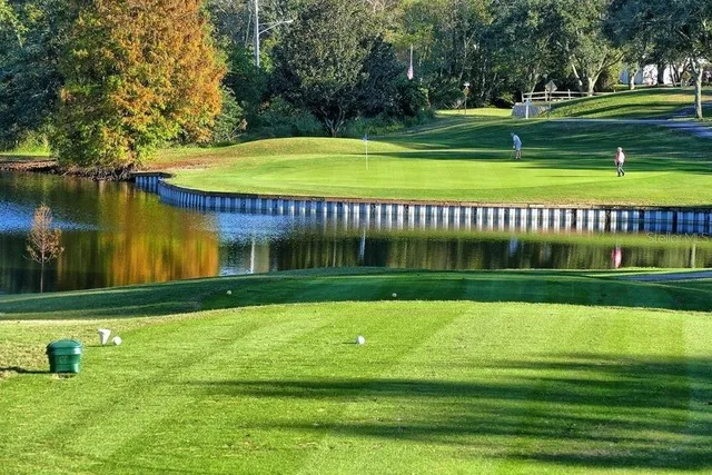 a view of a swimming pool and a yard