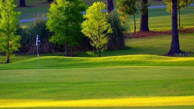 a view of a volley ball court