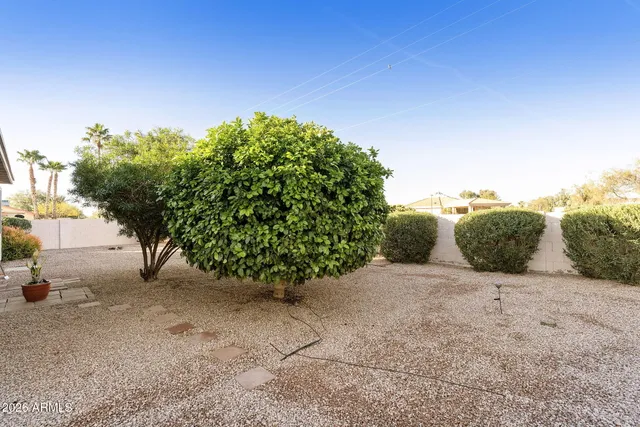 $374,000 | 25208 South Pinewood Drive, Sun Lakes, AZ 85248