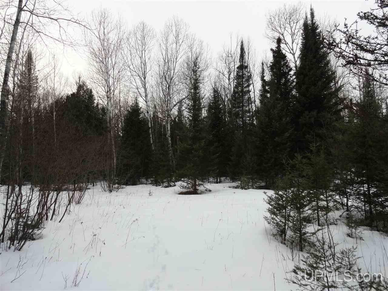 416 (23rd Road Gladstone, MI 49837 - Photo 28 of 36